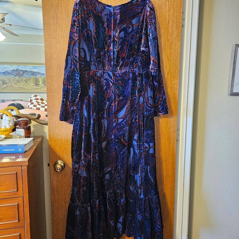 Anthropologie Paisley Velvet Burnout Long Sleeve Dress - Picture 5 of 11